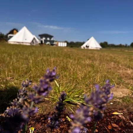Luxury tent New Generation Camp *
