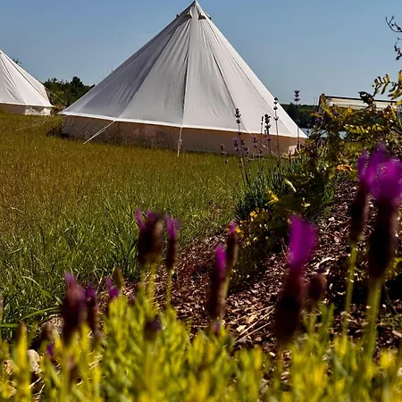 Luxury tent New Generation Camp Siedliska (Elk)